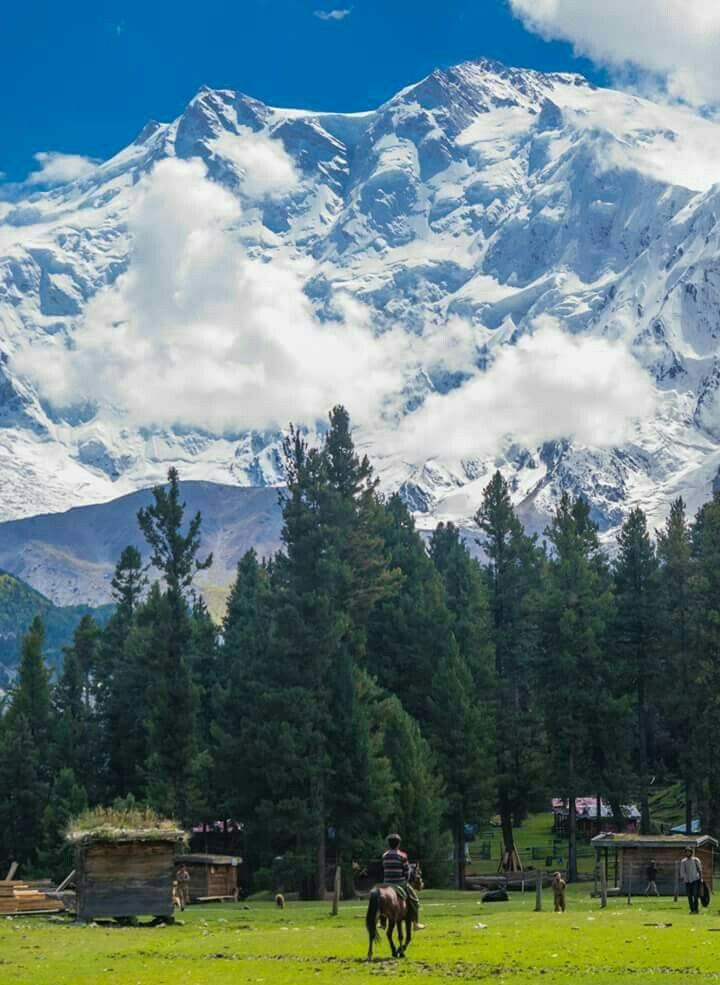 Fairy Meadows